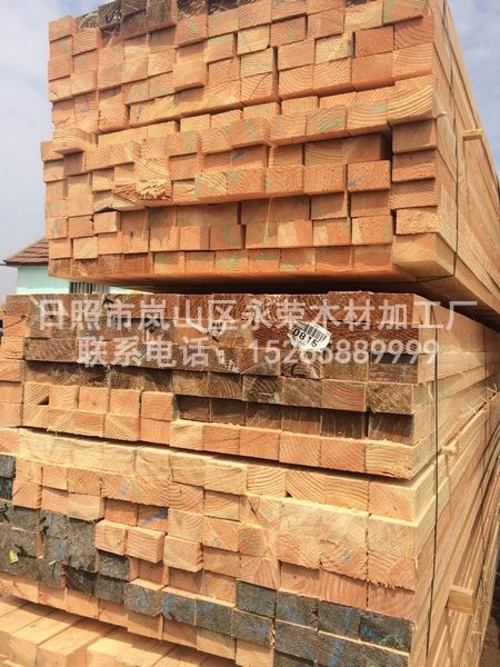 花旗松建筑成人快猫APP