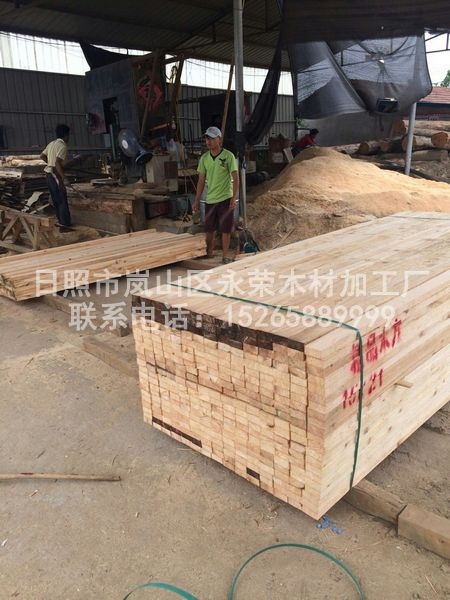 铁杉建筑工地成人快猫APP