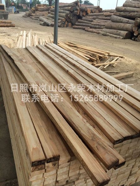 铁杉建筑快猫成人短视频